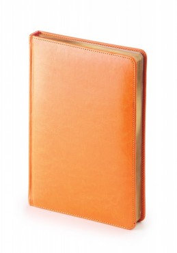 Ежедневник датированный Sidney Nebraska, А5, оранжевый, белый блок, золотой обрез, ляссе