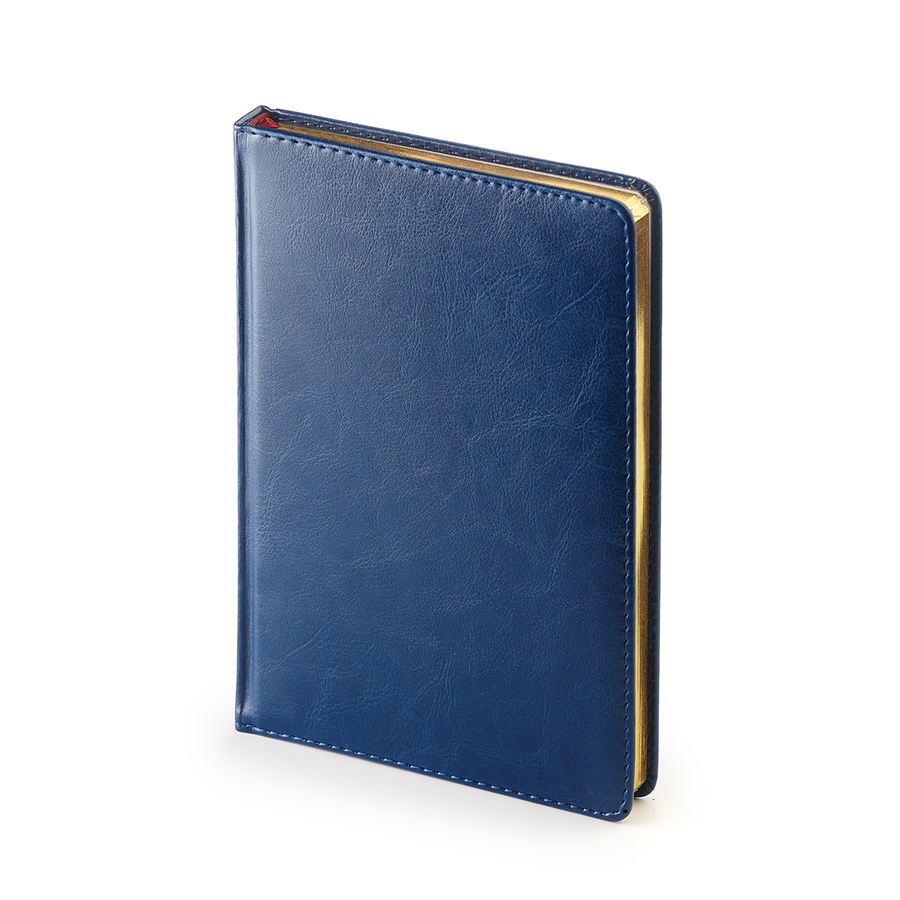 Ежедневник датированный Sidney Nebraska, А5, синий, белый блок, золотой обрез, ляссе