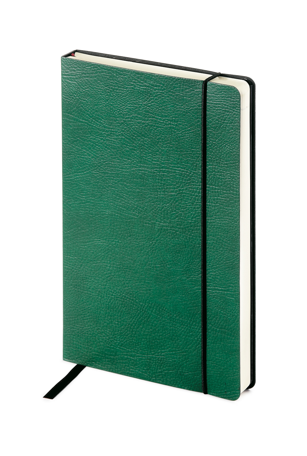 Ежедневник недатированный Vincent, А5, зеленый, бежевый блок, без обреза, ляссе