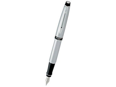 Ручка перьевая Waterman модель Expert серебристая