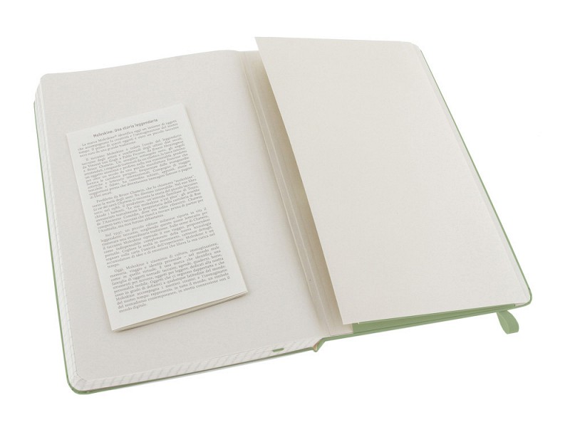 Записная книжка Moleskine Classic (в клетку) в твердой обложке, Large (13х21см), фисташковый